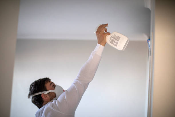 Best Professional Mold Removal  in Tehaleh, WA
