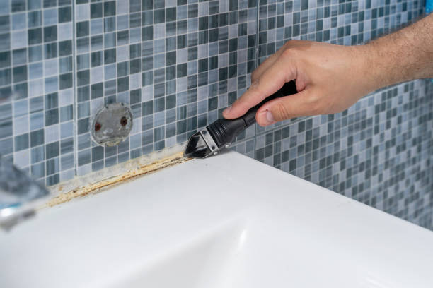 Certified Mold Removal in Tehaleh, WA